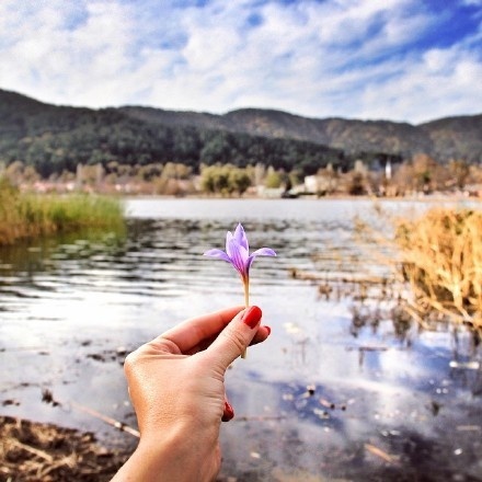 栗子姐每日情感问答(0817)