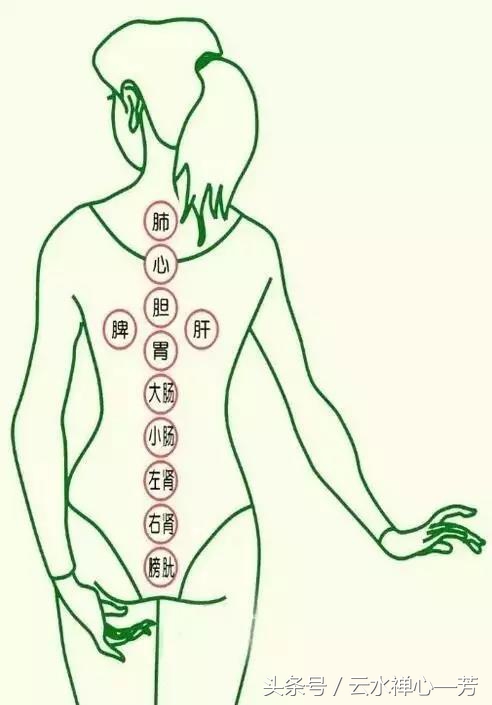 年轻人都爱拔罐~排毒,祛风寒可不是随便说说的