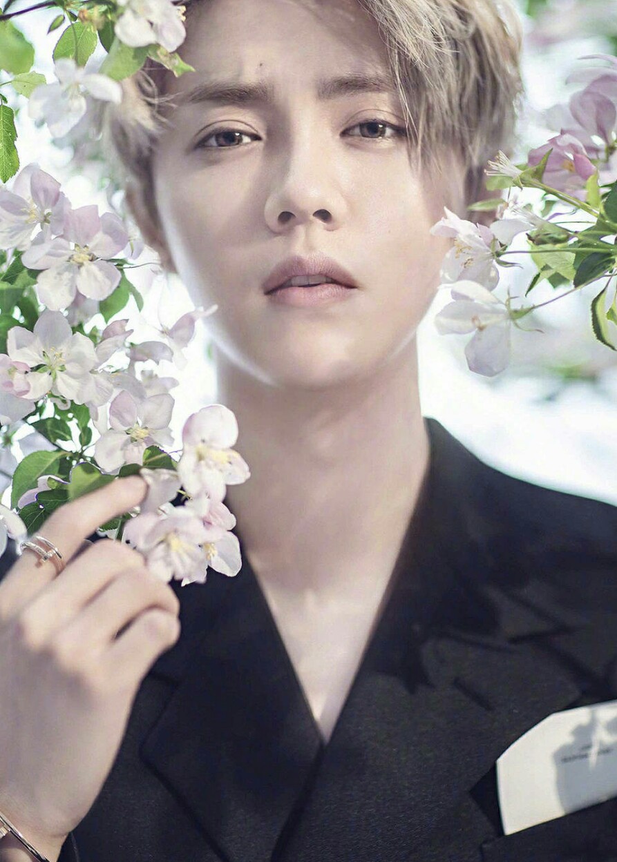 男:鹿晗 女:陈乔恩白羊座十二星座男女明星,看看你们的星座代表的是谁