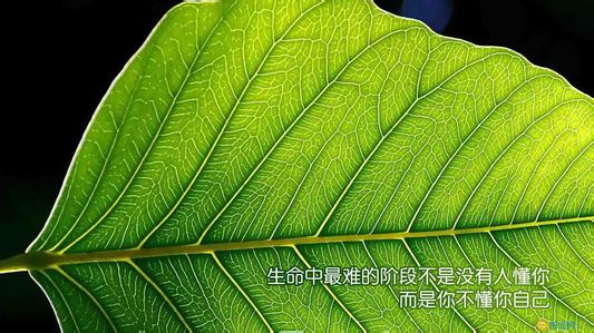 会计专业考研：学硕比专硕好？错