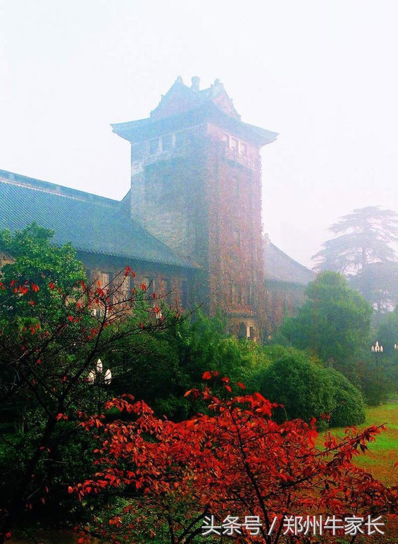 每天一所高校：南京大学