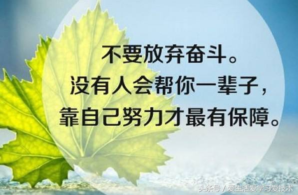 献给开学大学生的简短励志话语