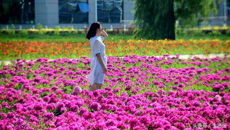 黑龙江早新闻｜我国高寒高铁最长隧道贯通！本周冰城这些路段易堵