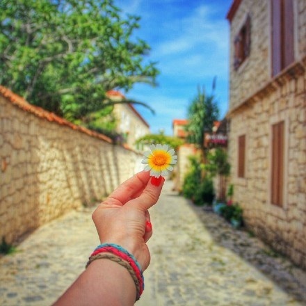 栗子姐每日情感问答(0817)