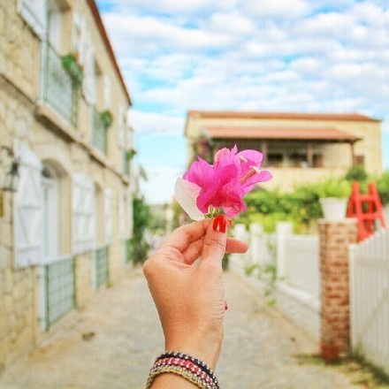 栗子姐每日情感问答(0817)