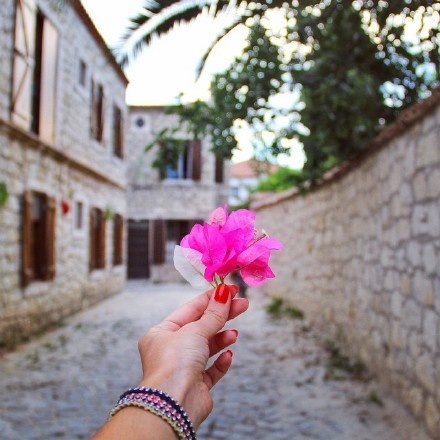 栗子姐每日情感问答(0817)