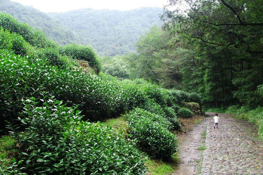 九溪十八涧｜山野之幽趣