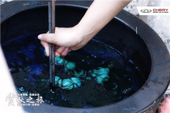 秋游季 奇瑞车友会与你共赴一场秋日