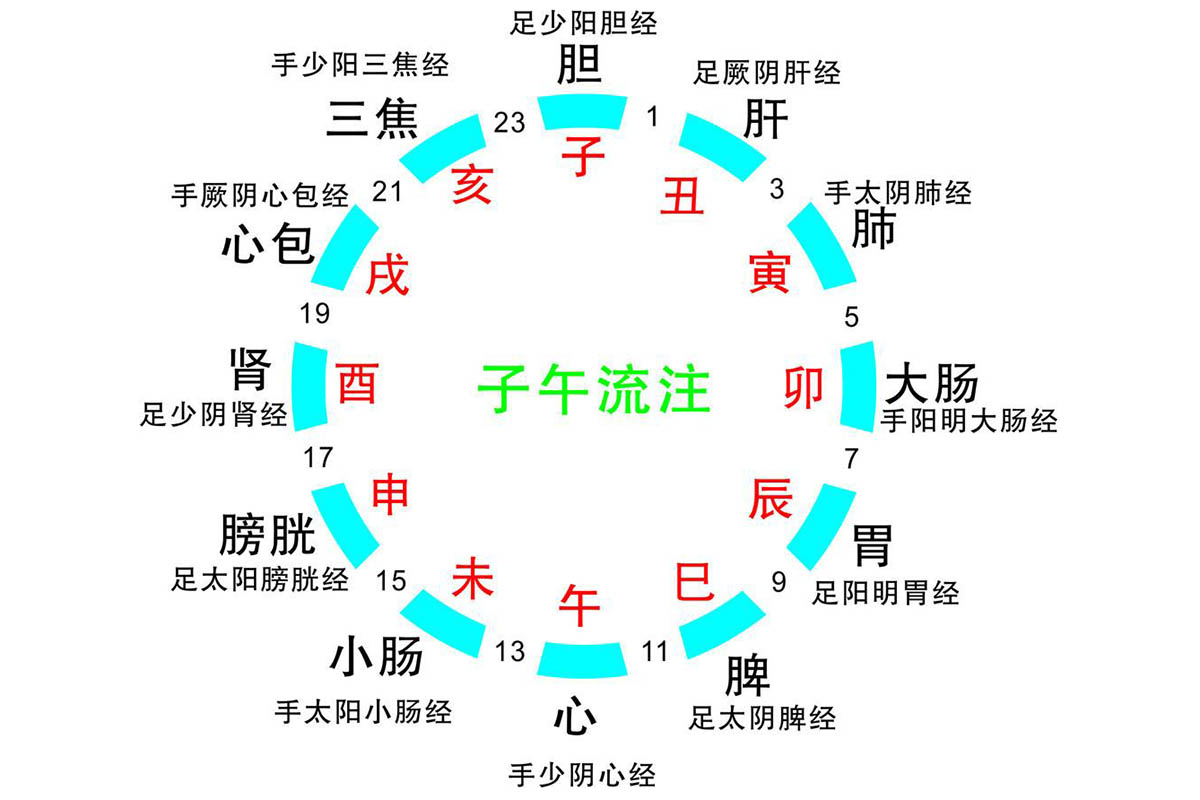 手上经络图六条图片（手上6条经络图高清）-第3张图片-华展网