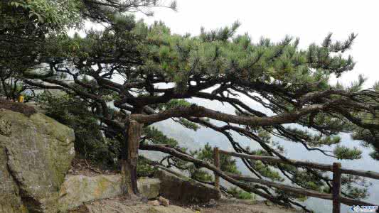 考研：风景园林专业院校排名、还有你所不知道的一、二、三