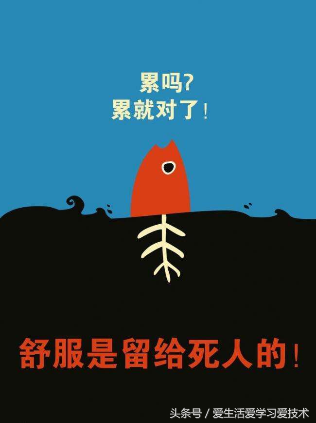 献给开学大学生的简短励志话语