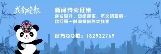 成都宠物领养,成都宠物领养平台