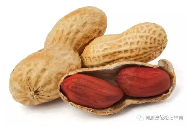 巧记英语单词：牛轧糖跟牛有关吗？