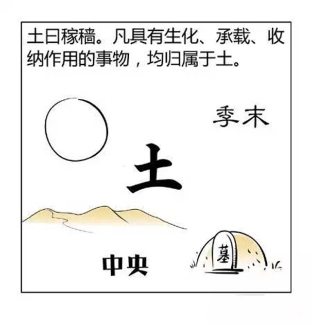 漫画版，通俗解读金木水火土，明阴阳，知五行
