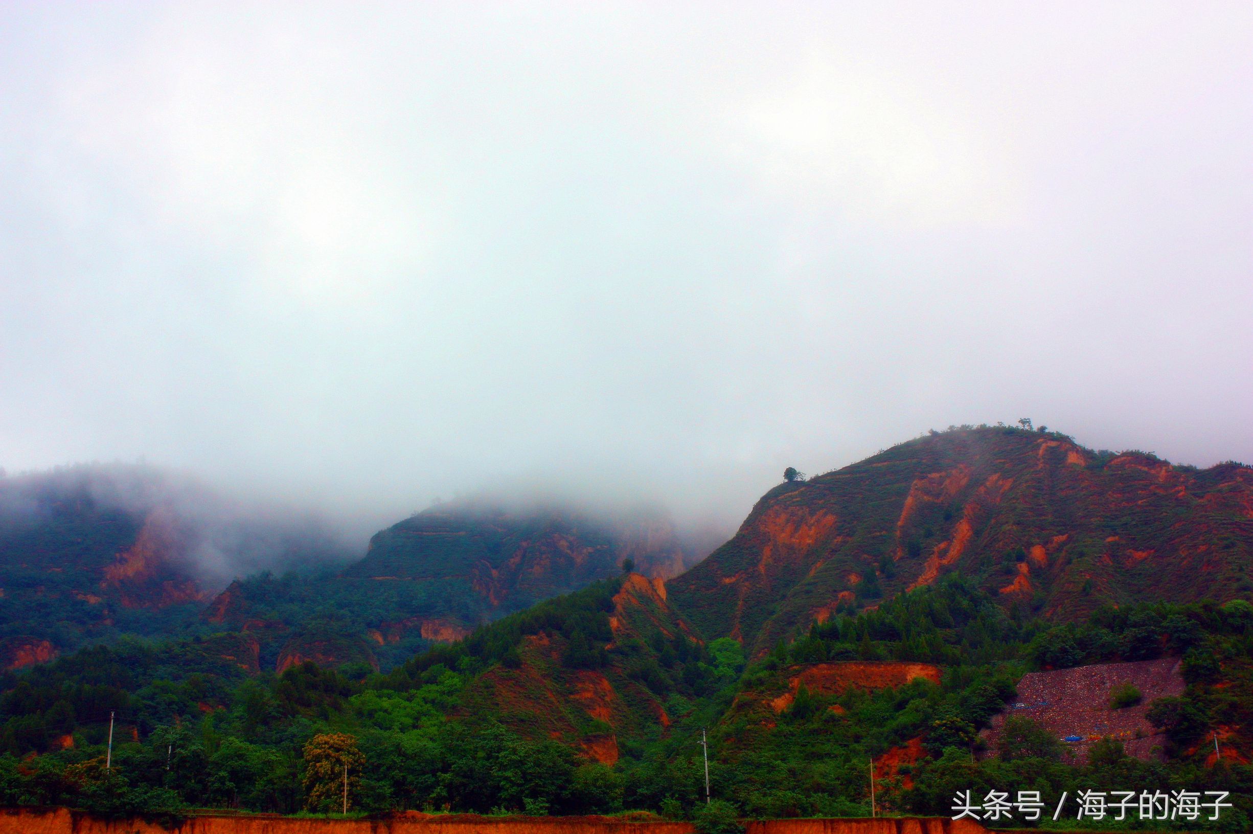 《春风桃李花开日，秋雨梧桐叶落时》秋韵《醉秋》