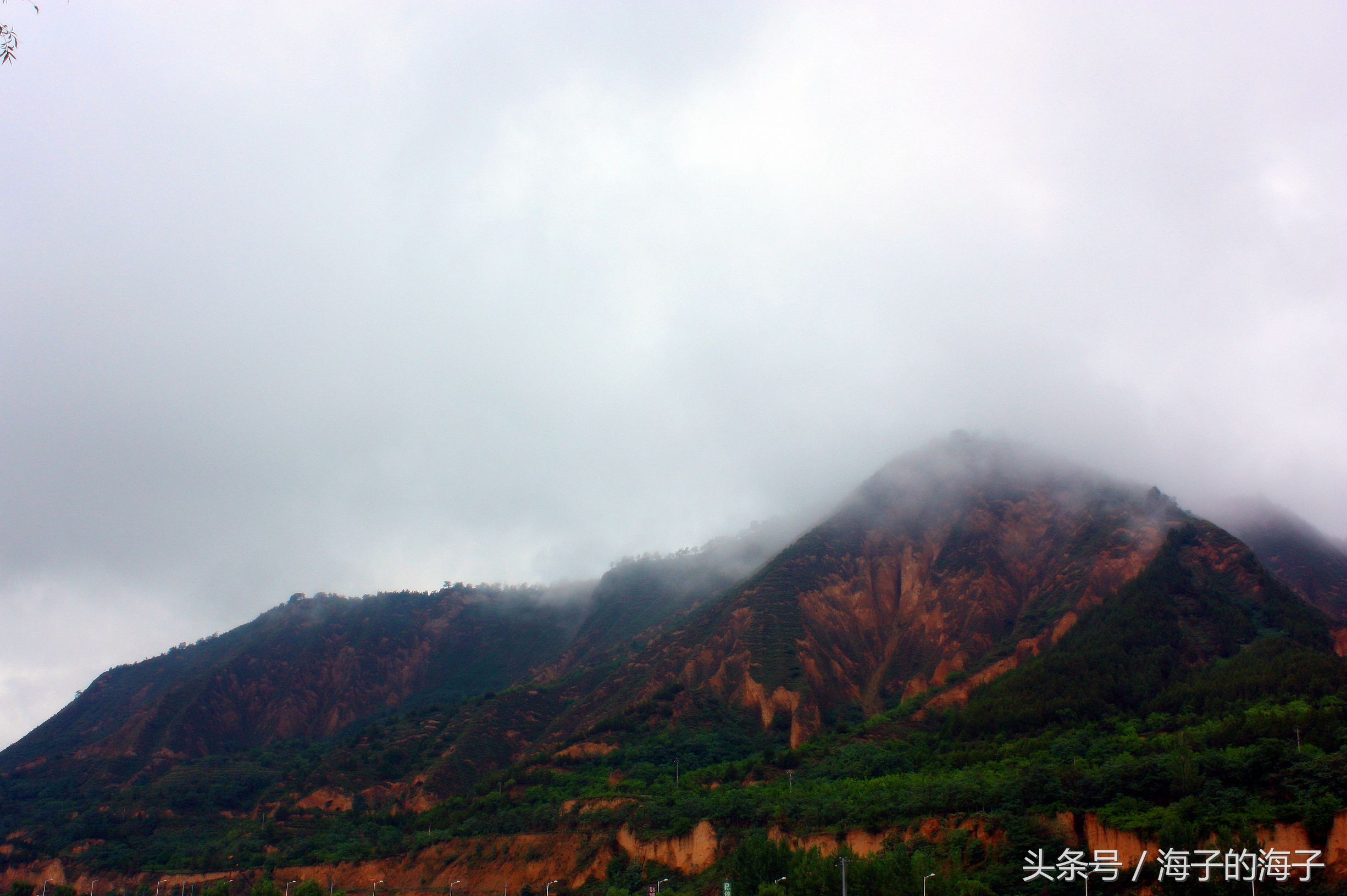 《春风桃李花开日，秋雨梧桐叶落时》秋韵《醉秋》