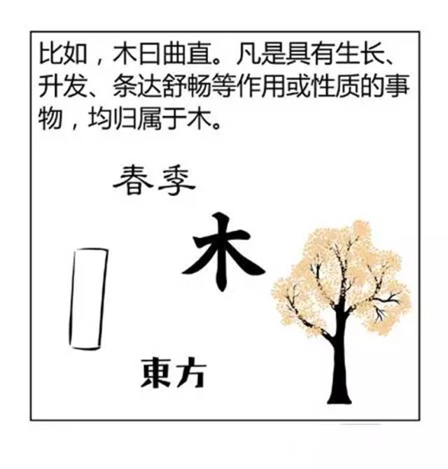 漫画版，通俗解读金木水火土，明阴阳，知五行