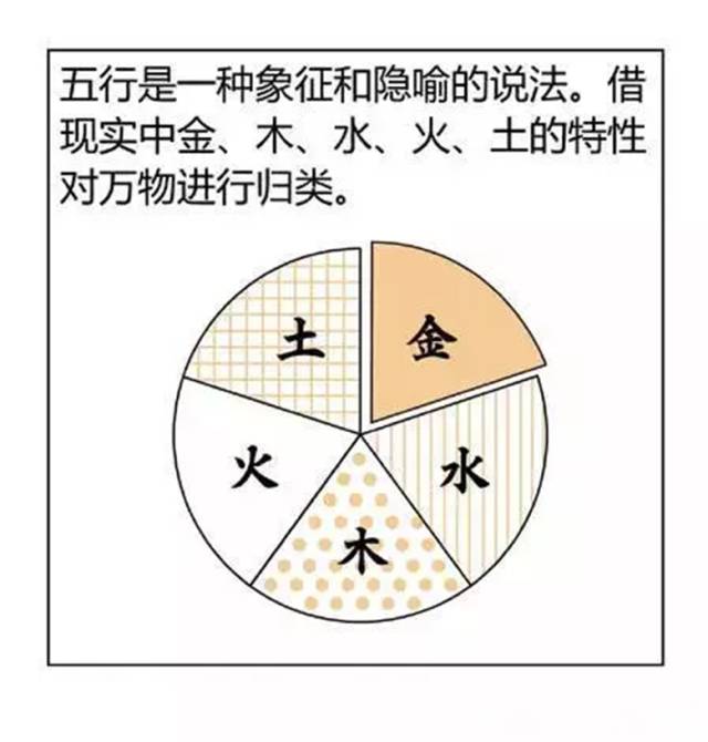 漫画版，通俗解读金木水火土，明阴阳，知五行