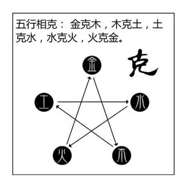 漫画版，通俗解读金木水火土，明阴阳，知五行