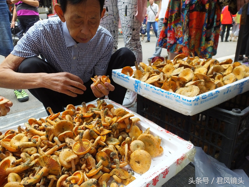 这种野生菌不能人工培植，是珍稀名贵的天然菌，你叫它什么名字？