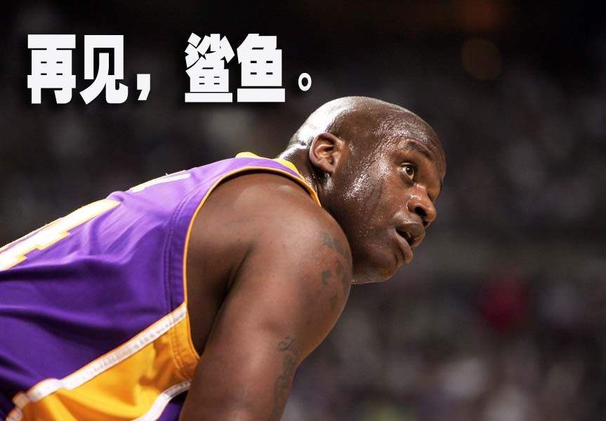 nba哪些球员有动物的称号(NBA用动物起绰号的6大球星，科比就像一只毒蛇需敬而远之！)