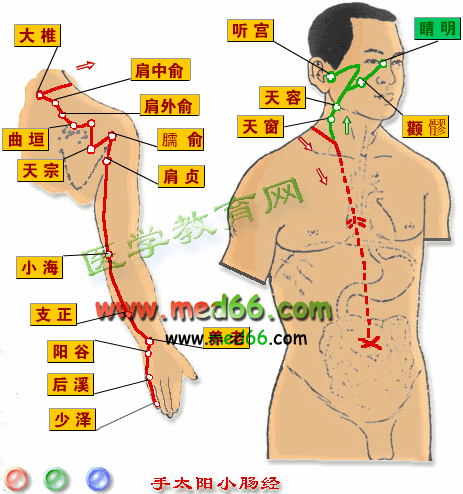 手掌上的经络图解（手掌上的经络图解图片）-第6张图片-科灵网