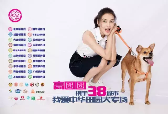 成都宠物领养,成都宠物领养平台