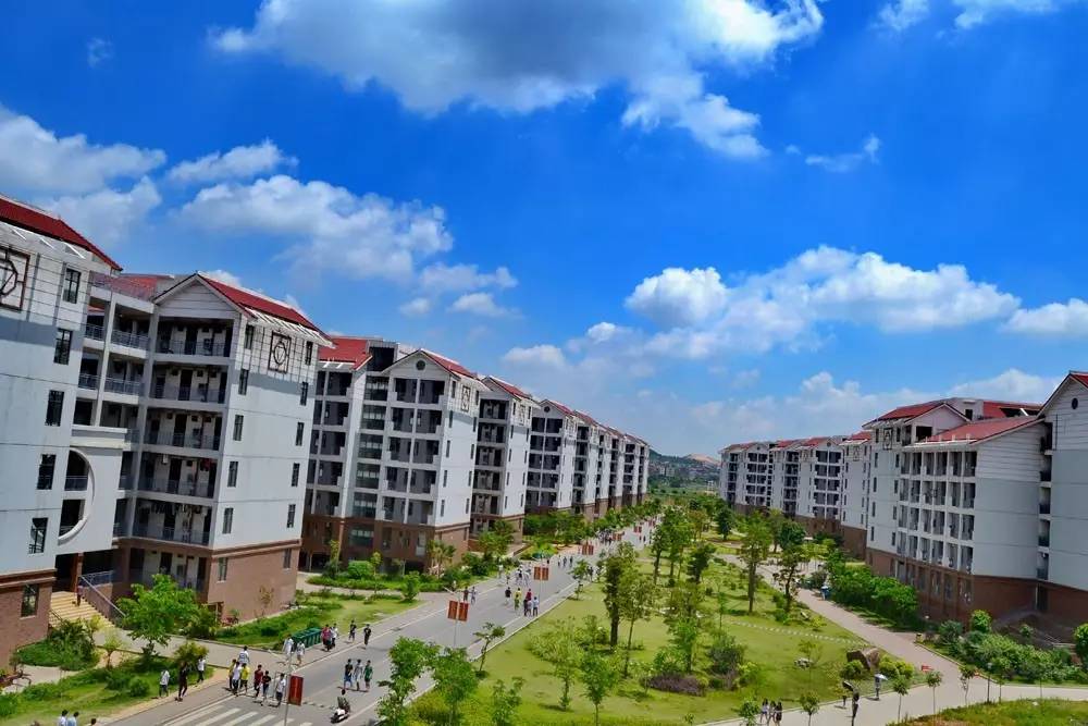 2017级小鲜肉丨你的南院录取通知书即将送达