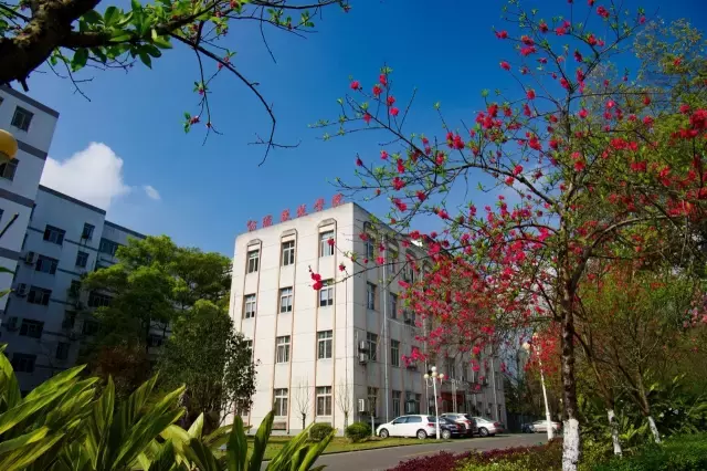 开学啦！颜值出众的重庆高校，bulingbuling的美图来一波