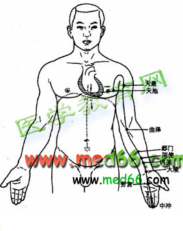 手掌上的经络图解（手掌上的经络图解图片）-第8张图片-科灵网