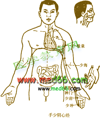 手掌上的经络图解（手掌上的经络图解图片）-第5张图片-科灵网