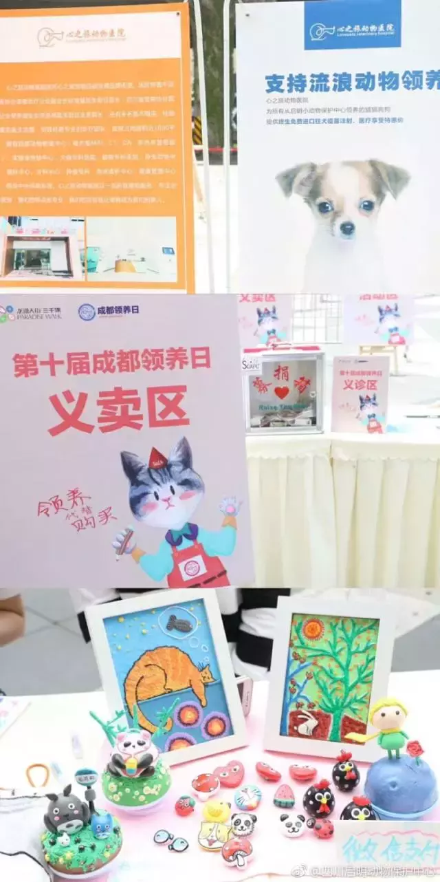 成都宠物领养,成都宠物领养平台