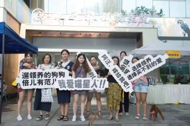 成都宠物领养,成都宠物领养平台