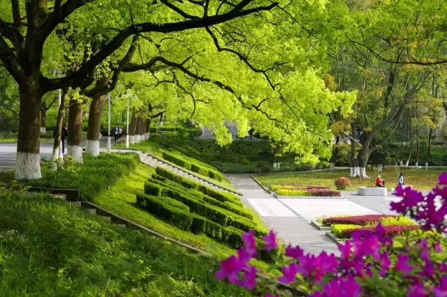 开学啦！颜值出众的重庆高校，bulingbuling的美图来一波