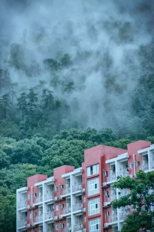 开学啦！颜值出众的重庆高校，bulingbuling的美图来一波