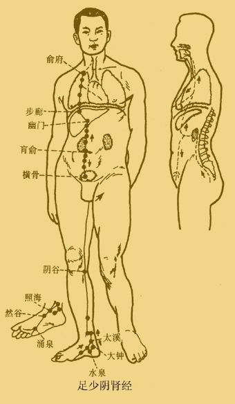 手掌上的经络图解（手掌上的经络图解图片）-第10张图片-科灵网