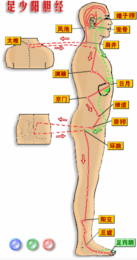 手掌上的经络图解（手掌上的经络图解图片）-第2张图片-科灵网