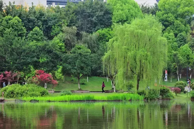 开学啦！颜值出众的重庆高校，bulingbuling的美图来一波