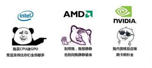 为了超越英特尔，AMD 用了整整十年！英伟达也不淡定了