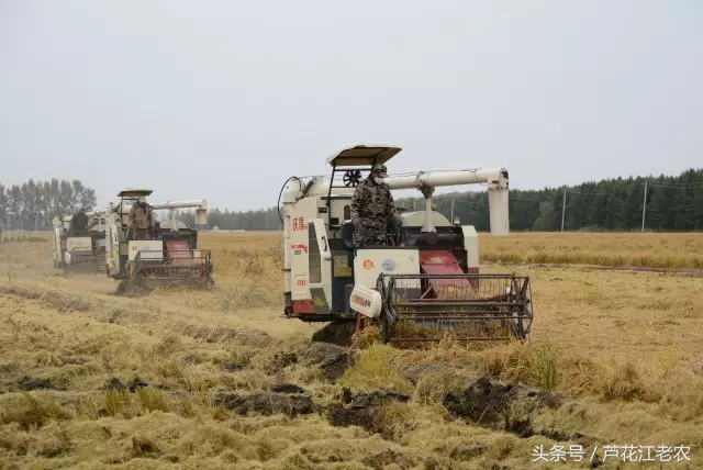 沃得锐龙履带收割机维修检查的最佳参考数值 皮带部分