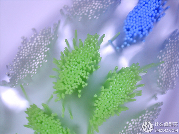 一文搞定，飞利浦、博朗、小米，电动牙刷到底怎么选？