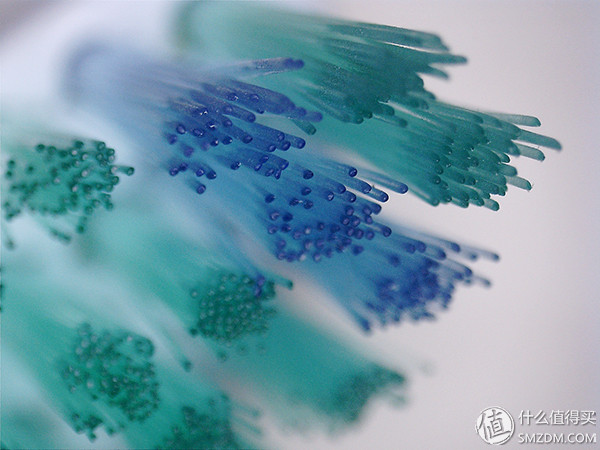 一文搞定，飞利浦、博朗、小米，电动牙刷到底怎么选？