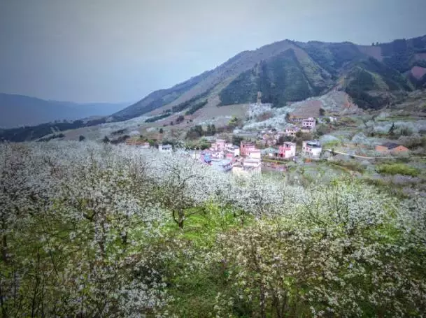 世界杯采果让胜让平(桂林最好玩的26条周边游线路大盘点，你一年四季的出行都包了！)