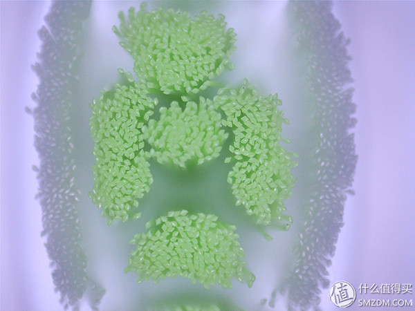 一文搞定，飞利浦、博朗、小米，电动牙刷到底怎么选？