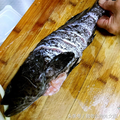 黑石斑鱼怎么做好吃（鲜嫩味美的黑石斑鱼简单做法）