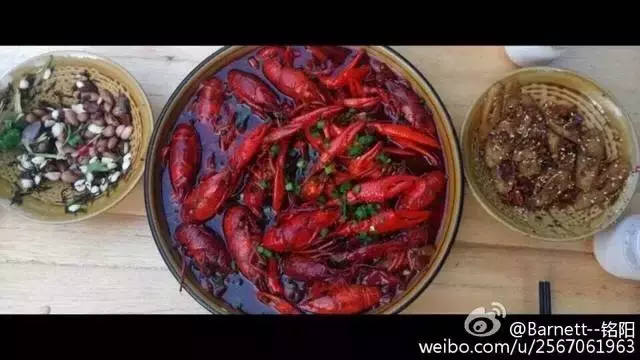 来新乡上学，没吃过这些算是白来了！