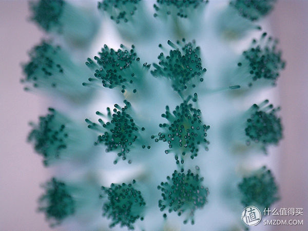 一文搞定，飞利浦、博朗、小米，电动牙刷到底怎么选？