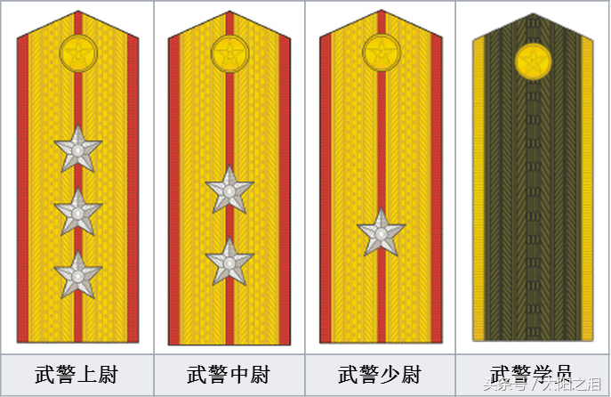 两杠四星是什么军衔 两杠四星和市长哪个大-星星快文