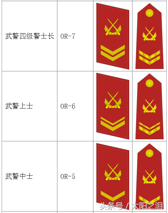 中国武警等级及标志图片