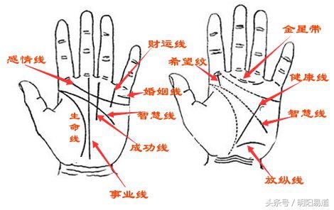 秒懂手相：从五指看事业财运